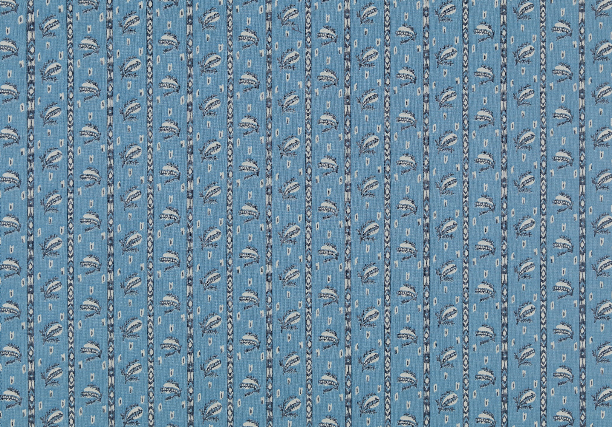 Click Image to Enlarge