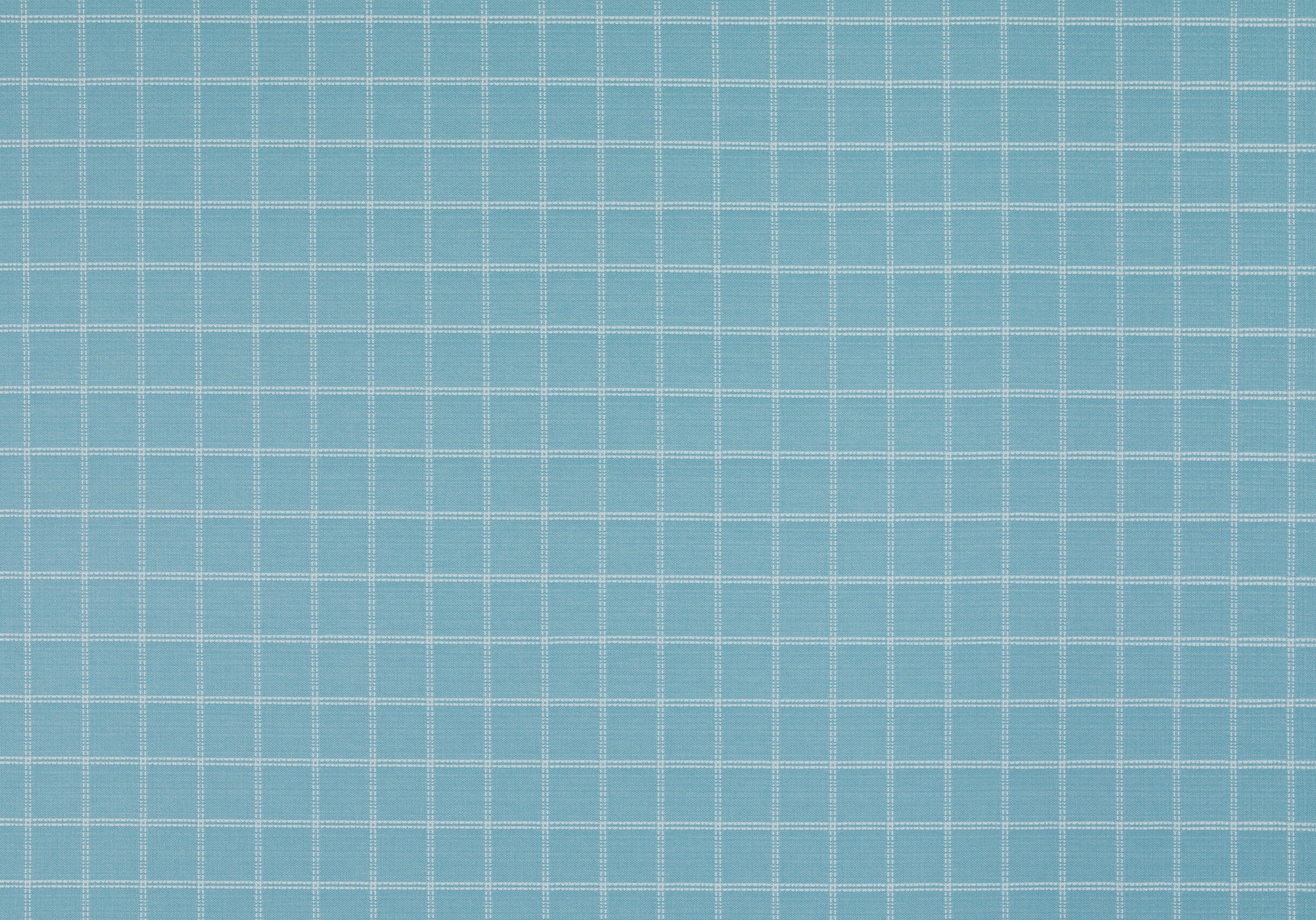 Click Image to Enlarge
