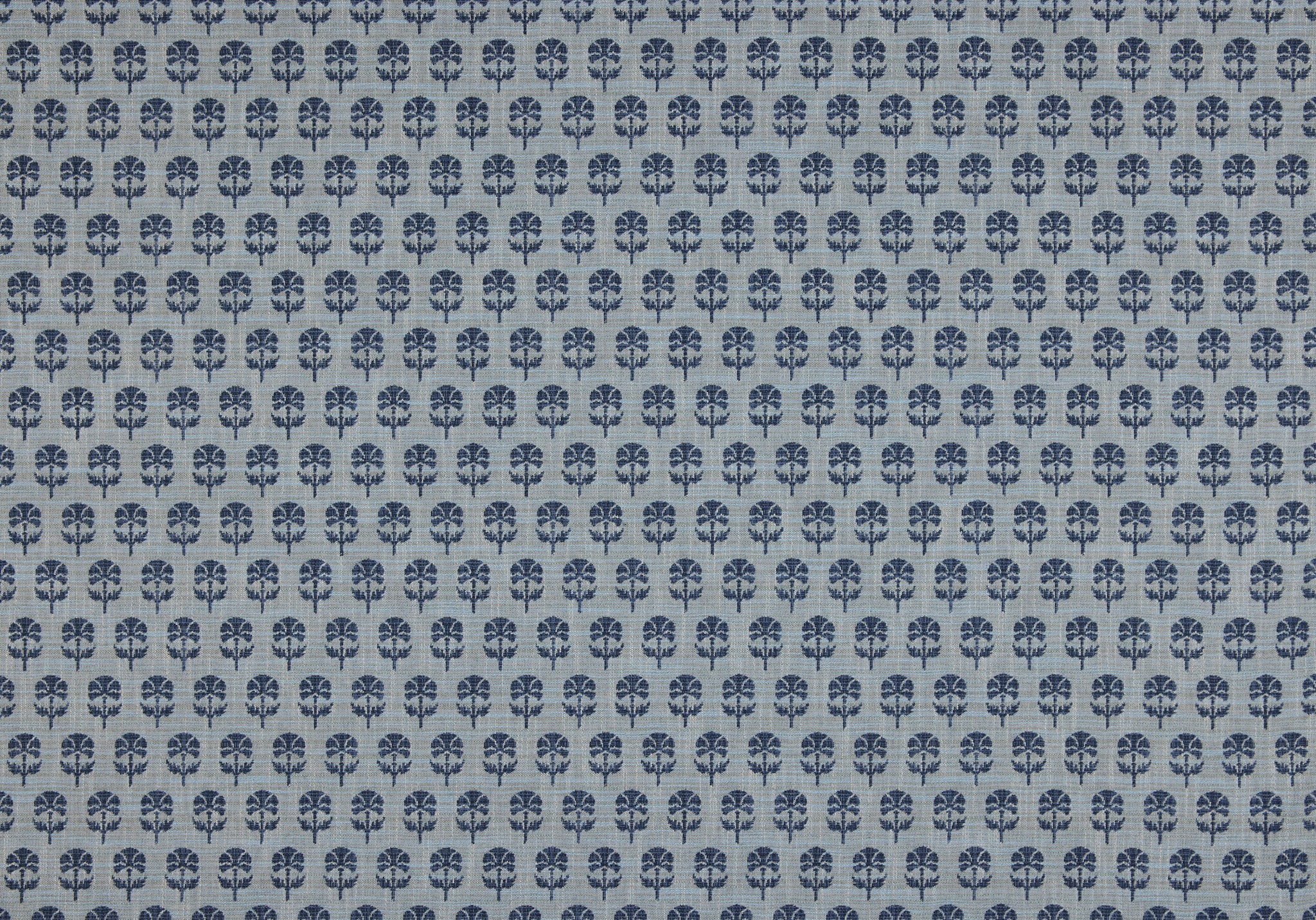 Back Side - Click Image to Enlarge
