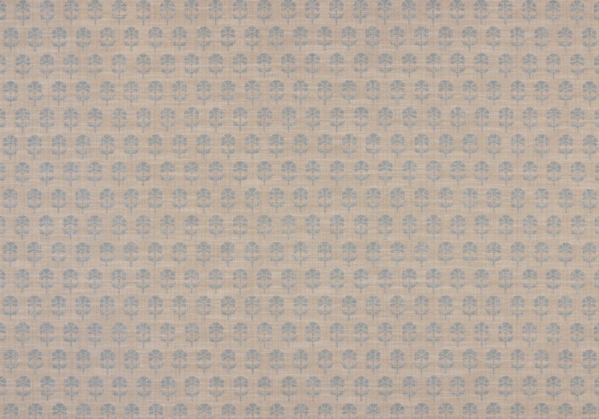 Back Side - Click Image to Enlarge