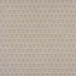 Back Side - Click Image to Enlarge