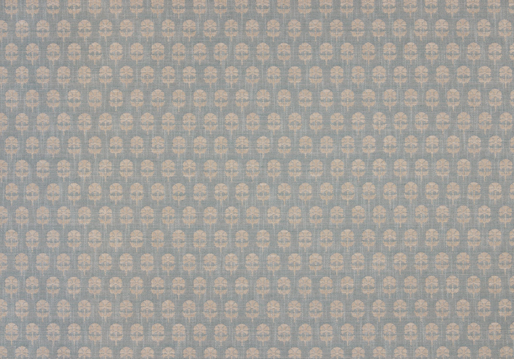 Face Side - Click Image to Enlarge