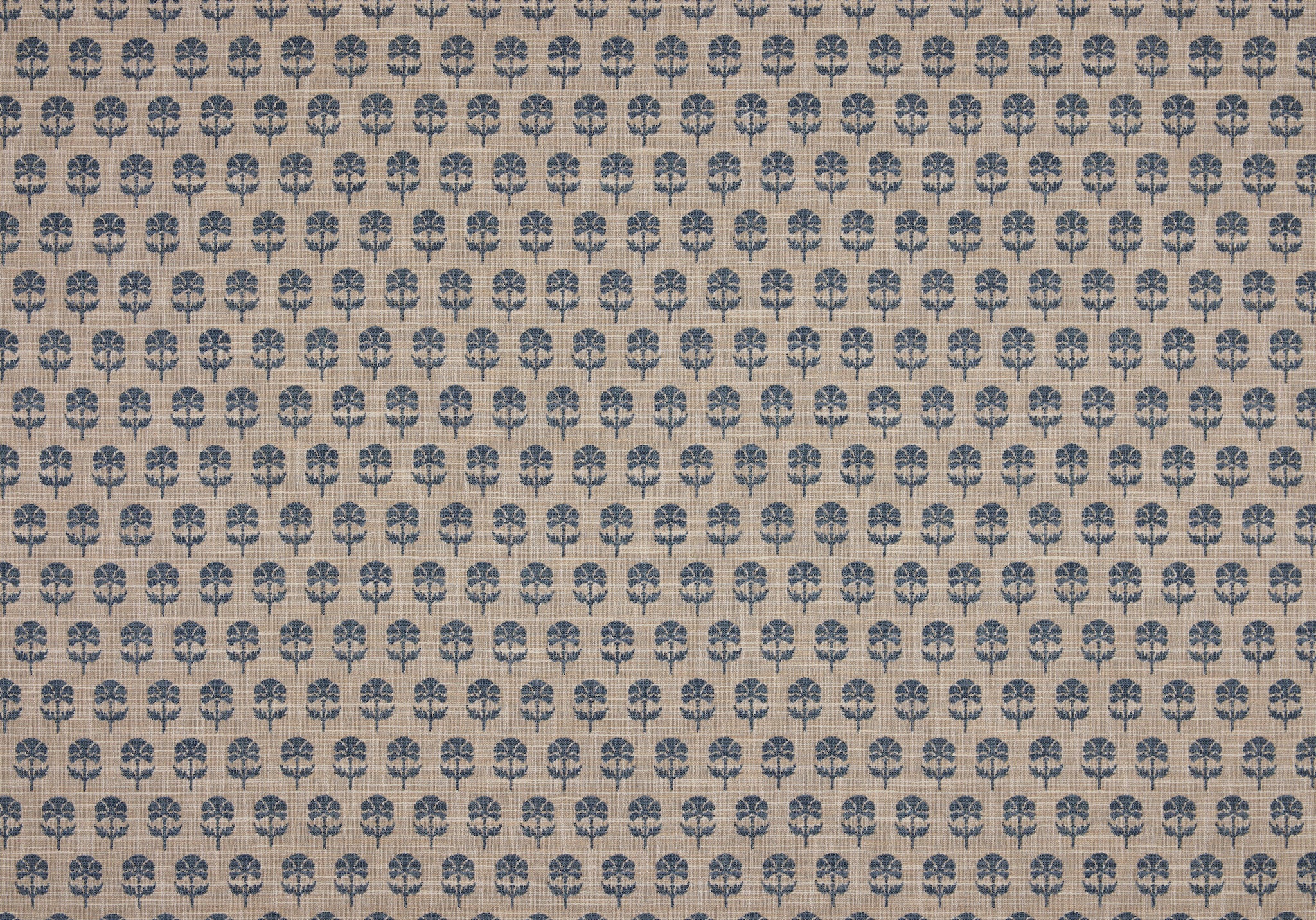 Face Side - Click Image to Enlarge