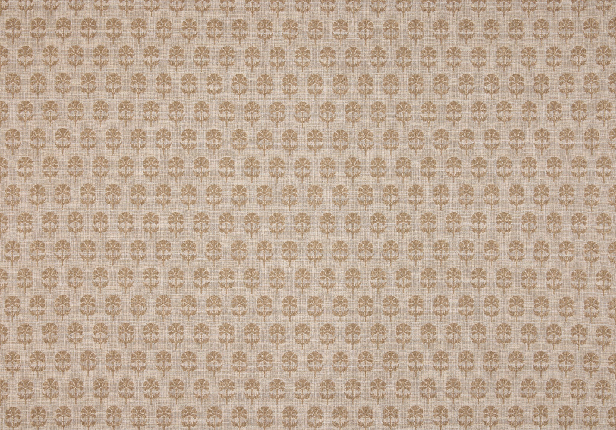 Back Side - Click Image to Enlarge