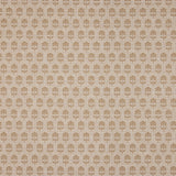 Back Side - Click Image to Enlarge