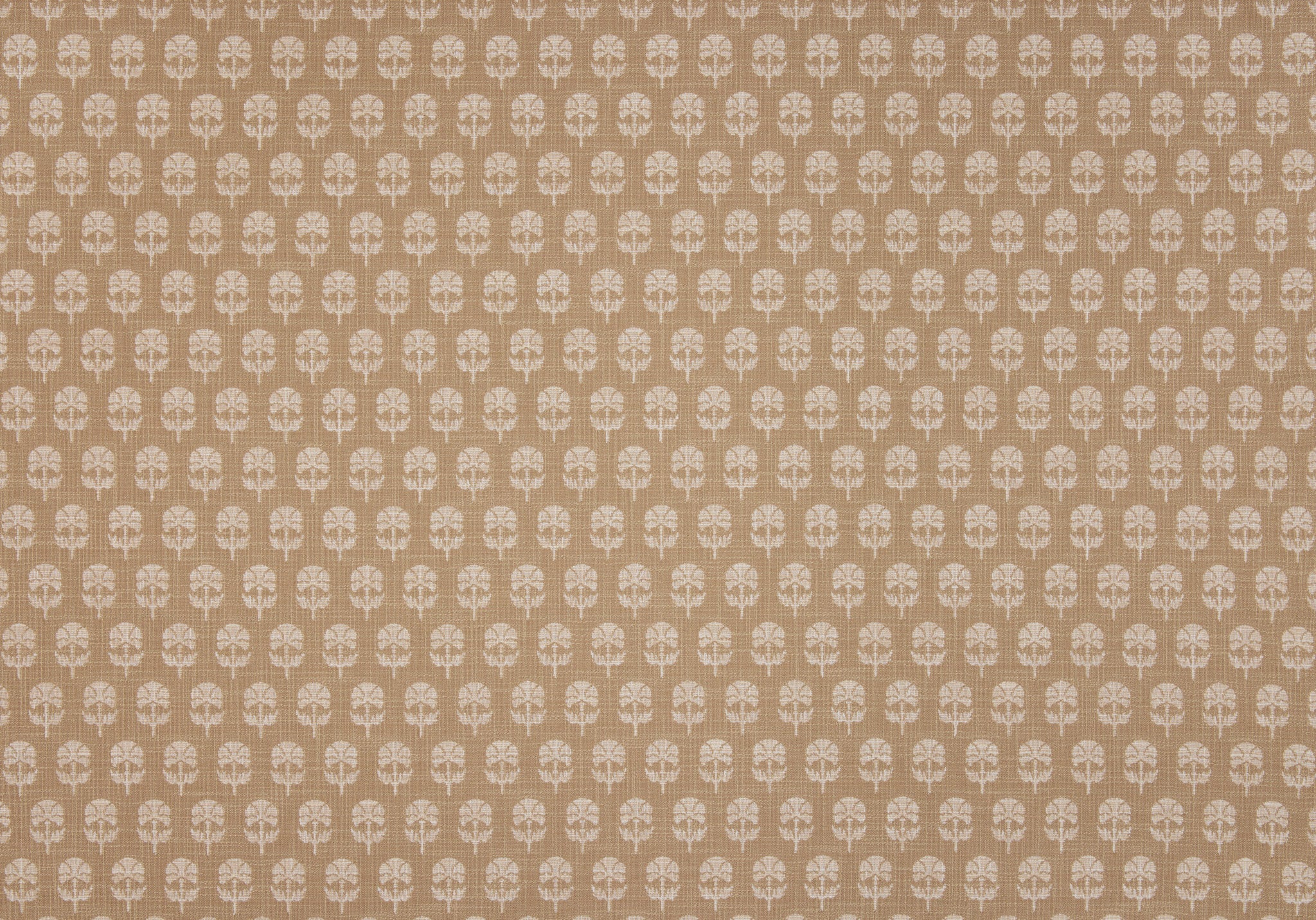 Face Side - Click Image to Enlarge