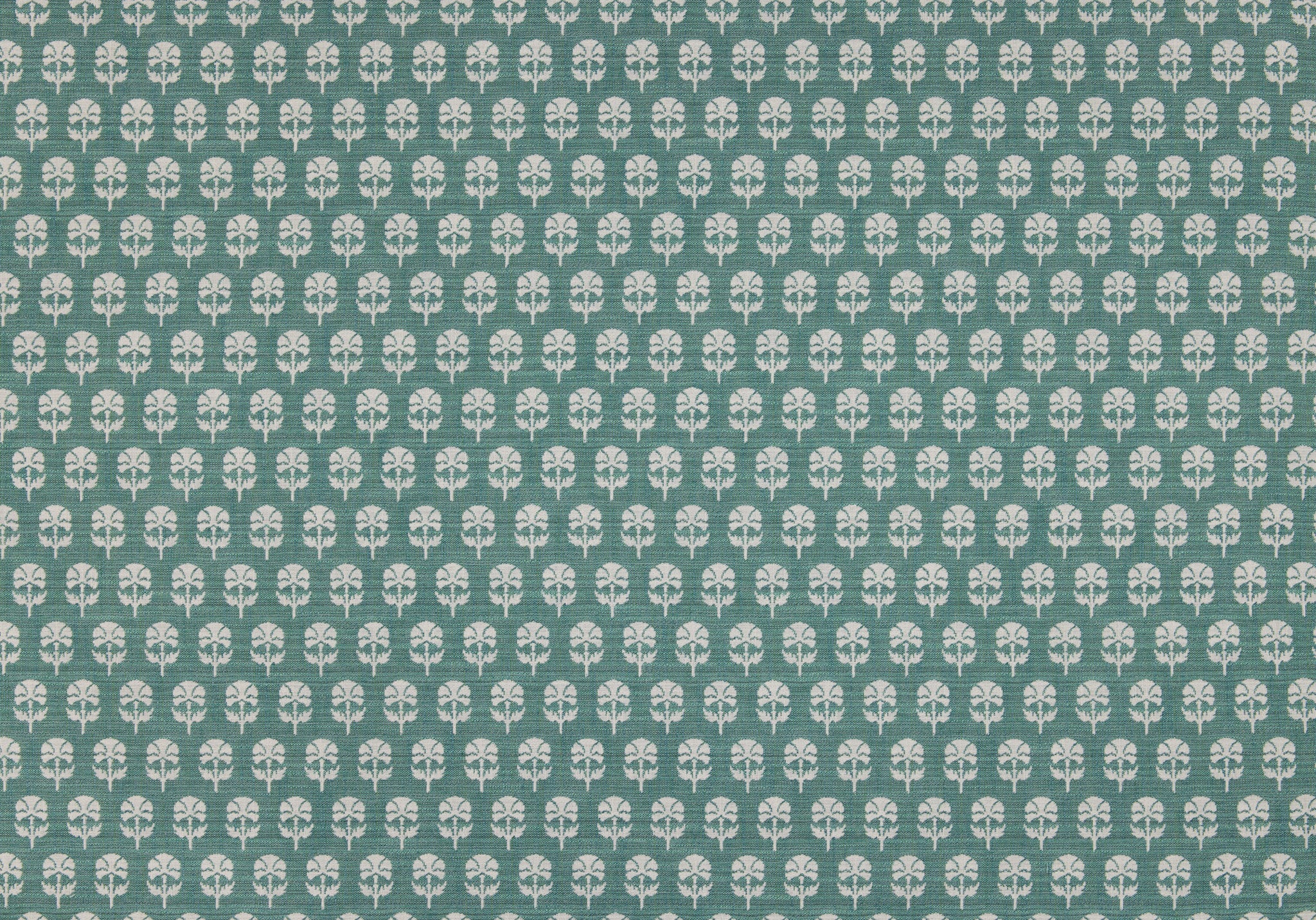 Back Side - Click Image to Enlarge