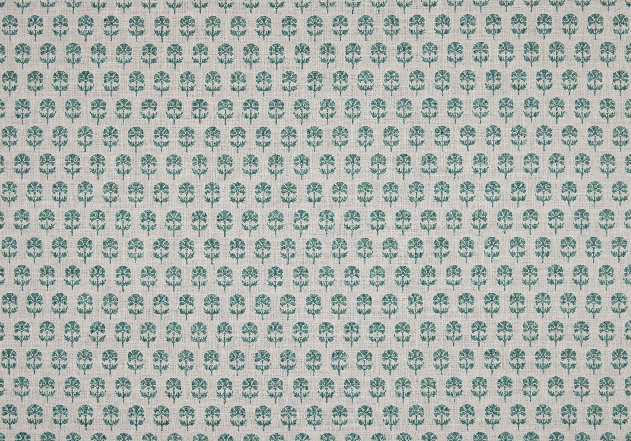 Face Side - Click Image to Enlarge