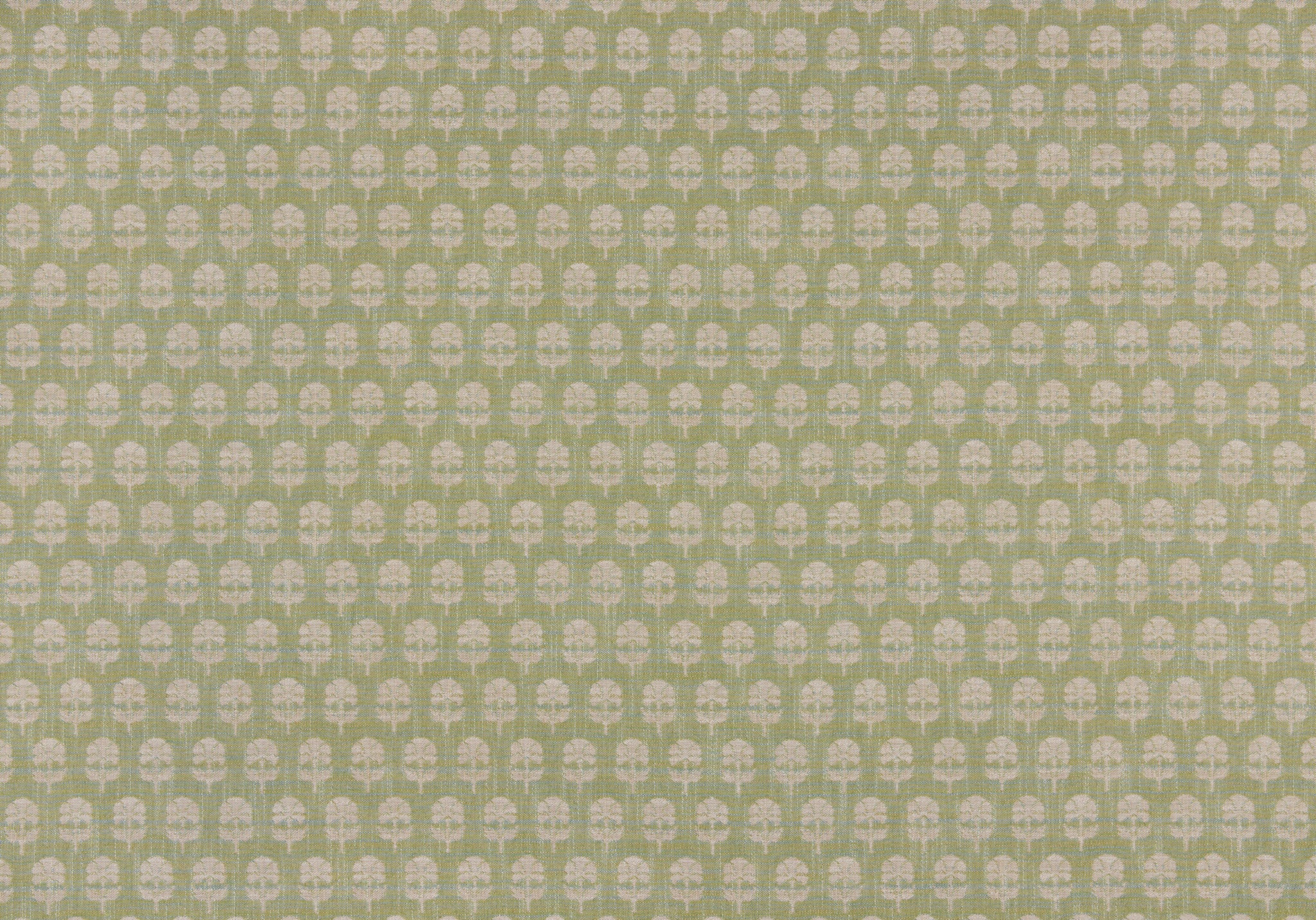 Back Side - Click Image to Enlarge