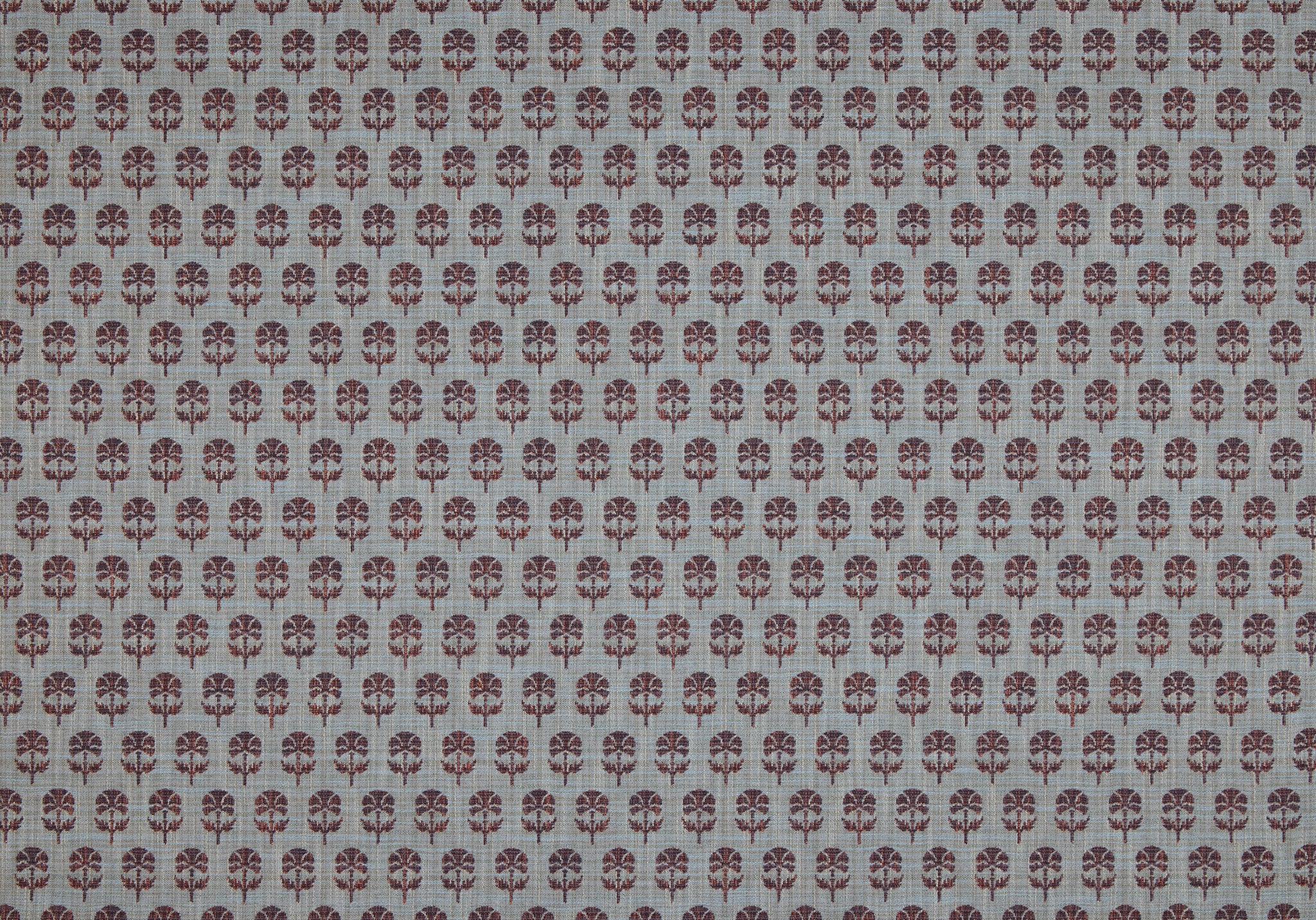 Back Side - Click Image to Enlarge