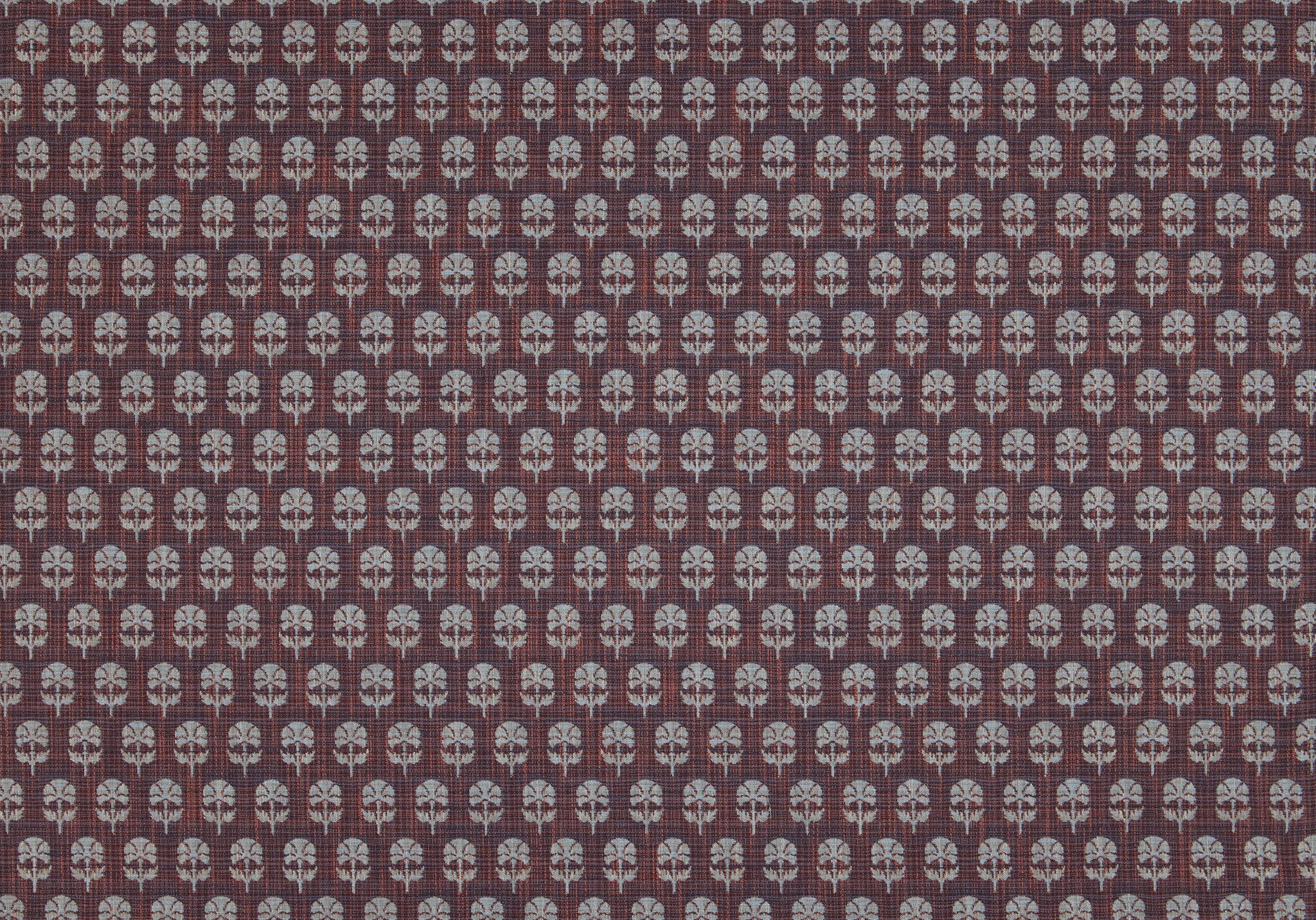 Face Side - Click Image to Enlarge