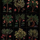 Click Image to Enlarge