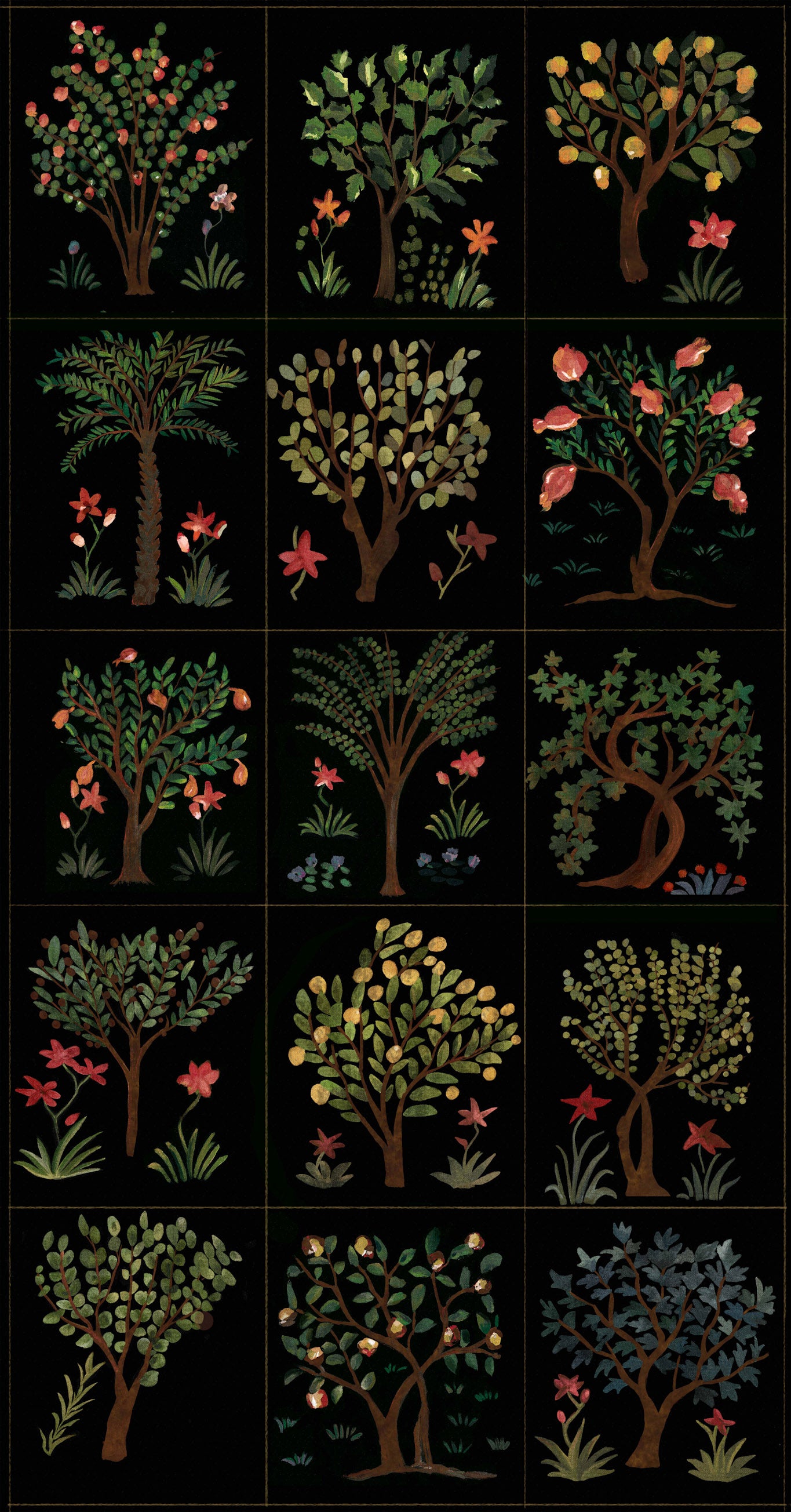 Click Image to Enlarge