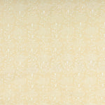 Click Image to Enlarge