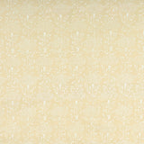 Click Image to Enlarge