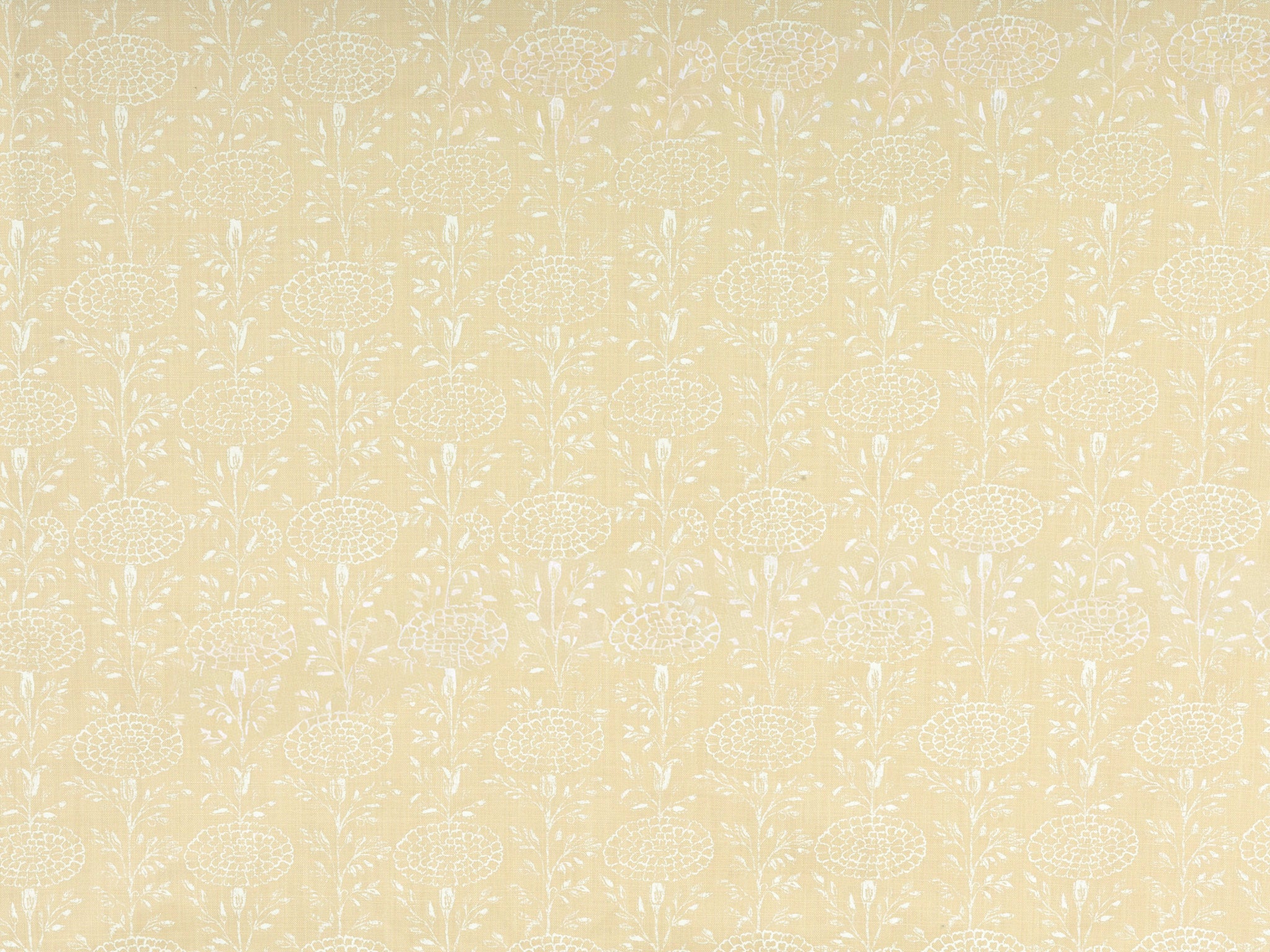 Click Image to Enlarge